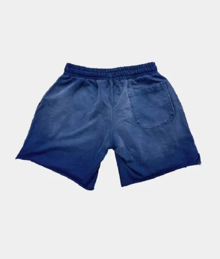 Vertabrae Double Emblem Shorts Blue